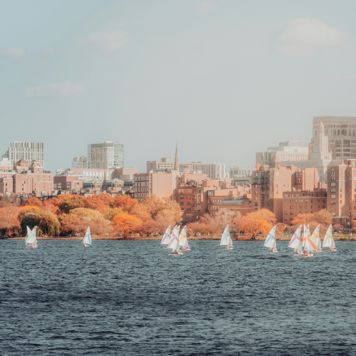 Ships sailing on the Charles River in Boston.