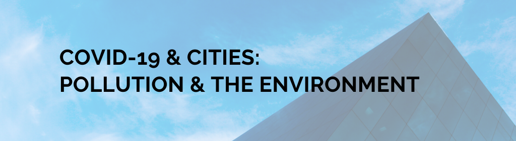COVID-19: Pollution and the Environment banner image