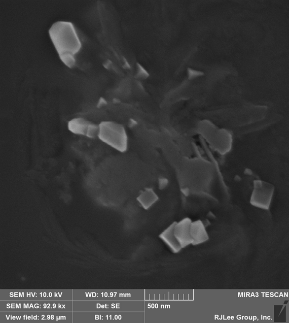 Scanning Electron Microscope image of ultrafine particles collected by the experimental monitor. These images are analyzed to quantify ultrafine particle concentrations and chemical composition, which are important indicators of potential human toxicity. 