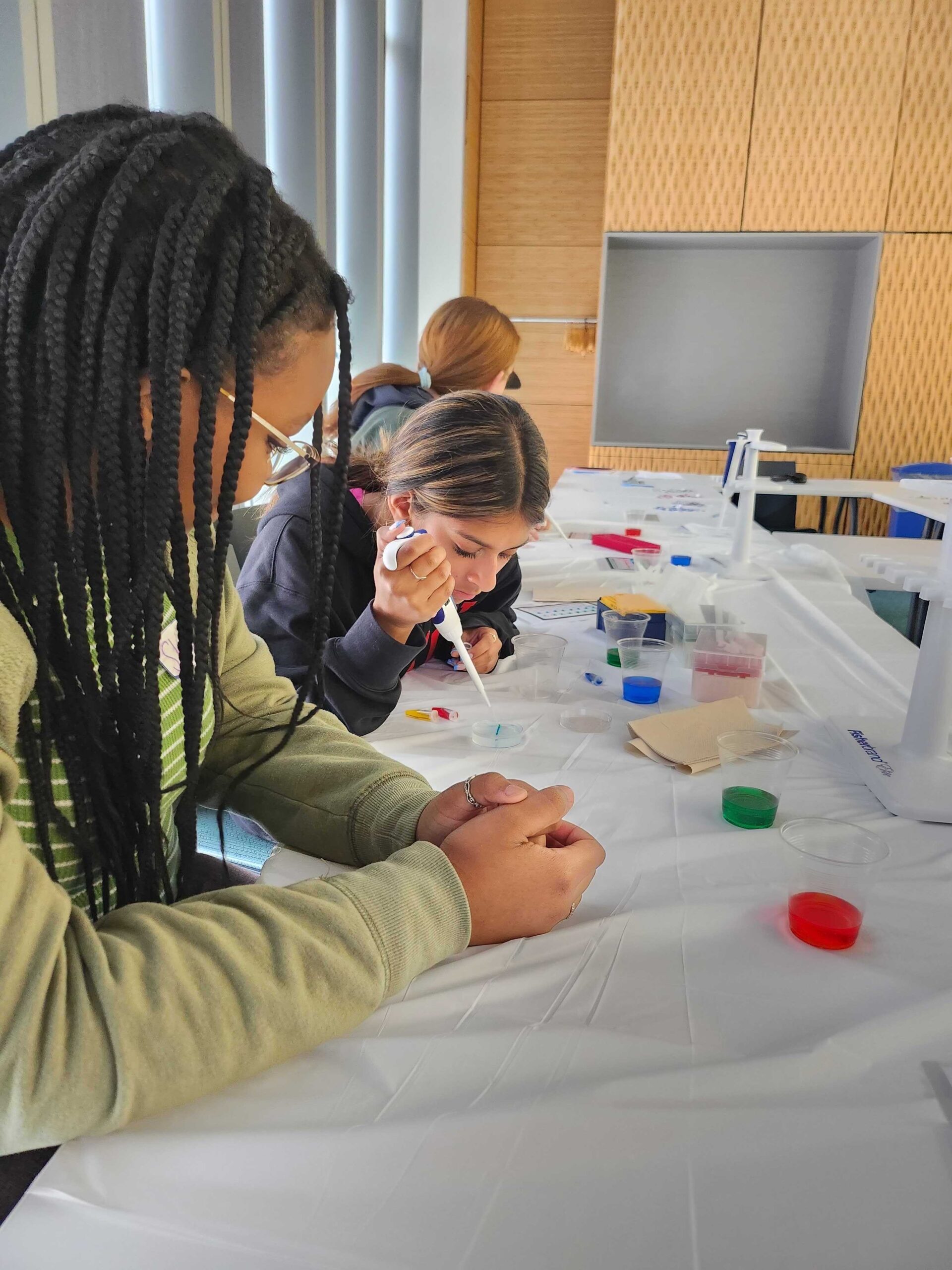 High school students in the STEM Pathways program practice pipetting using dyed water and laminated precision cards.