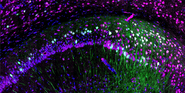 Kilachand Photo Contest Third Place Winner Photograph 2