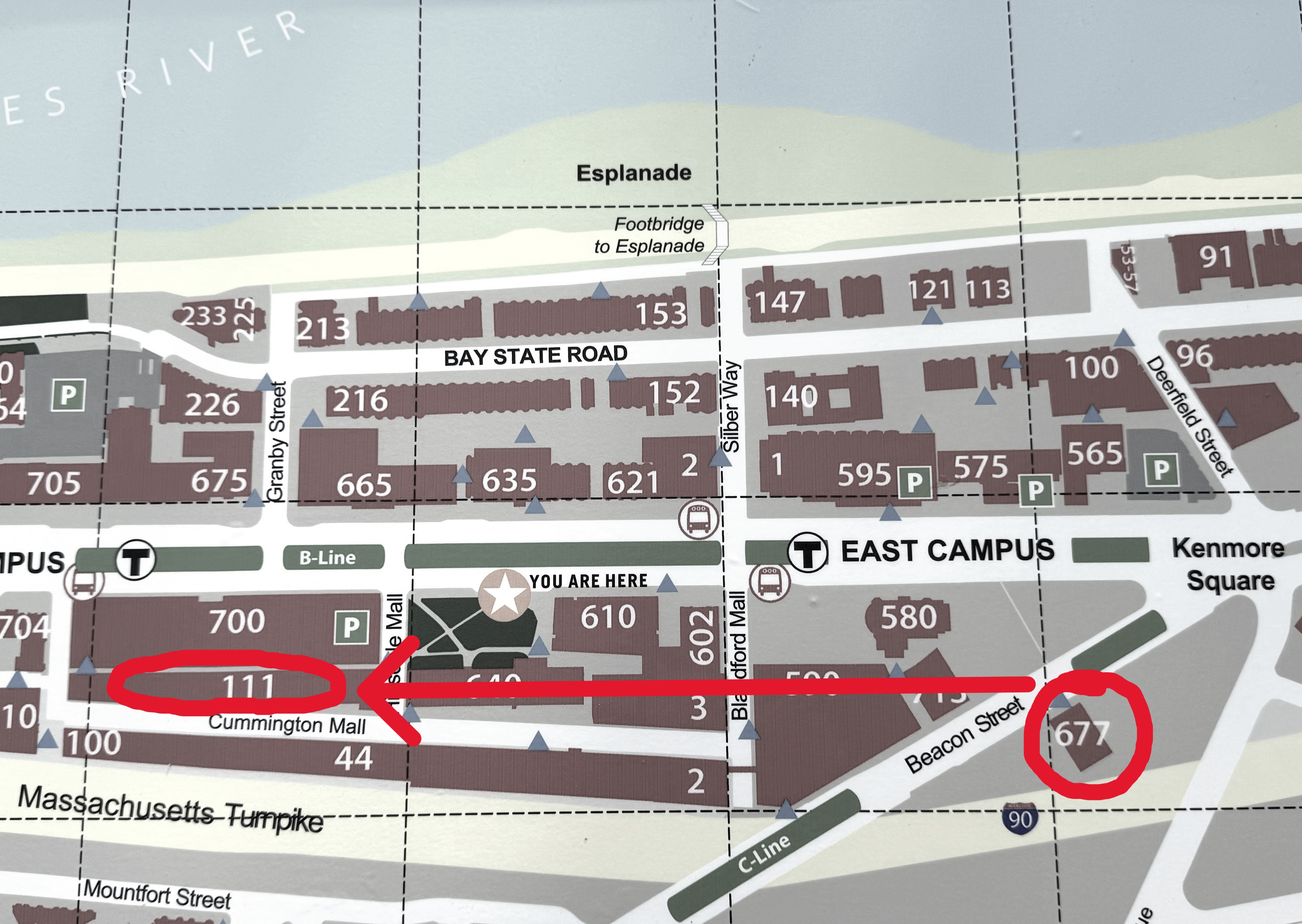 An illustrated map of the Boston University campus