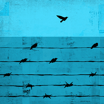 Illustration of barbed wire turning into birds and flying away | by Taylor Callery
