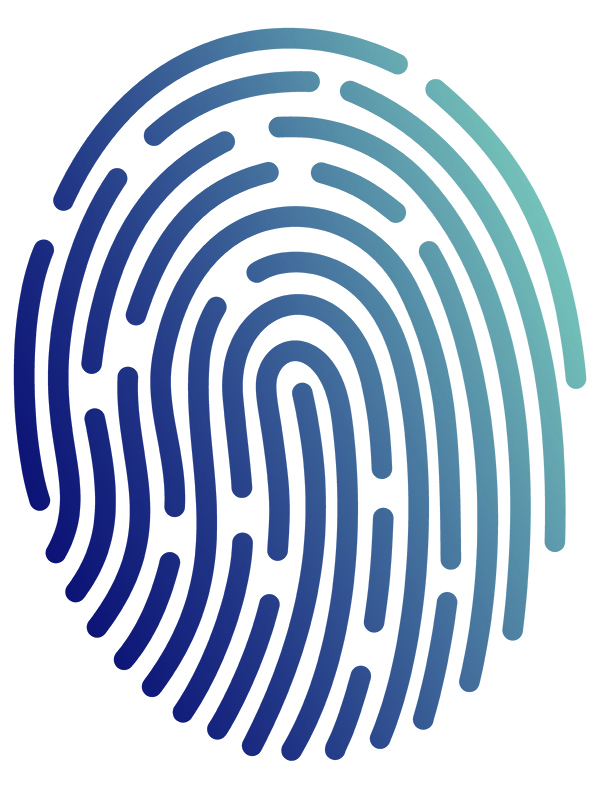 fingerprint illustration