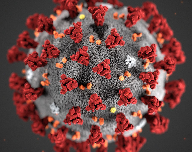 Coronavirus