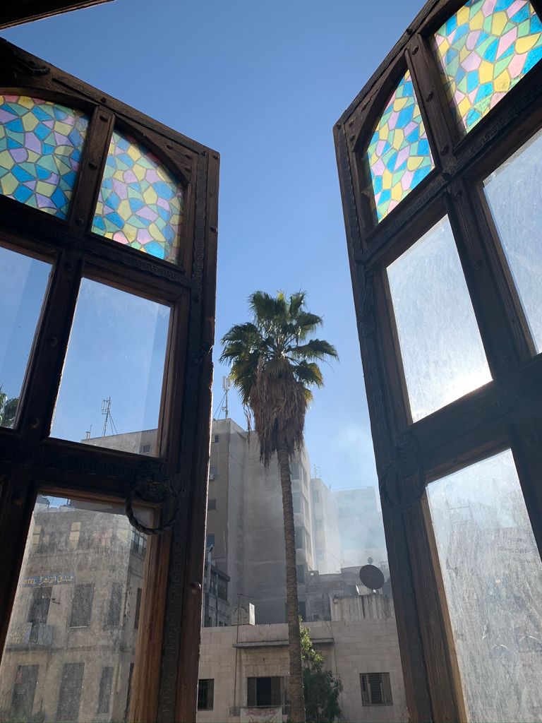 View of the city street and a palm tree in Amman, Jordan
