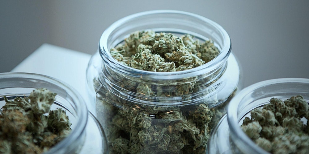 cannabis flower in jars