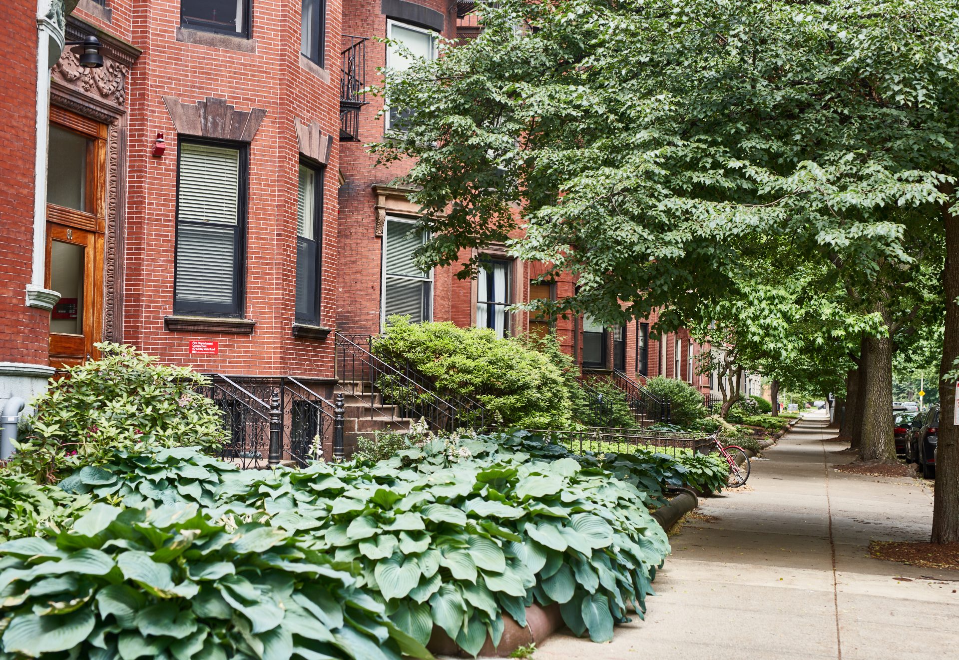 BU Brick housing and greenery