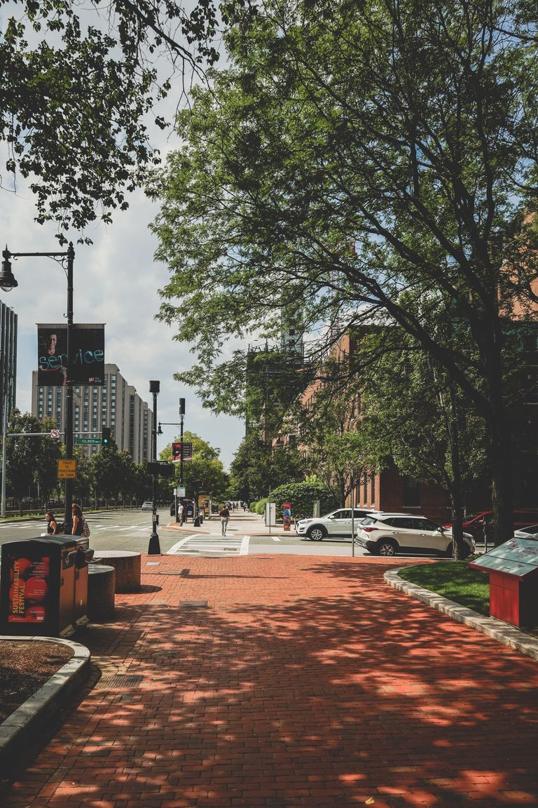 Brick street on campus shaded by trees