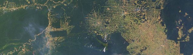 Rhondonia Brazil Deforestation