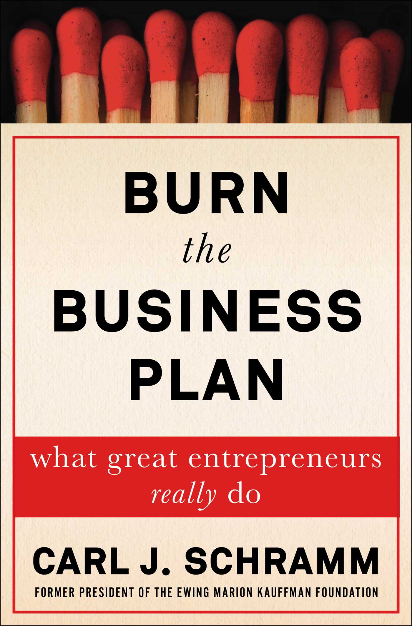 burn-the-business-plan