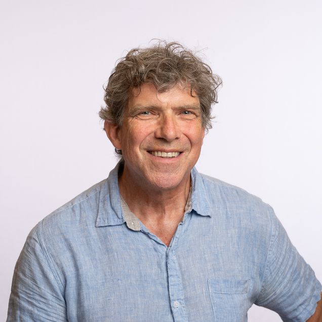Portrait of David Perkins