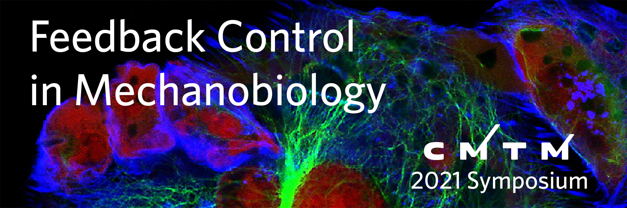 The Rising Stars in Cell Biology Symposium – Department of Cell