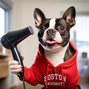 Terrier with Hair Dryer