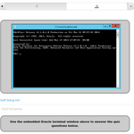 Embedded_Oracle