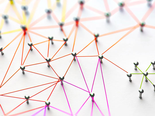 BLS in Interdisciplinary Studies/BS in Interdisciplinary Studies Featured