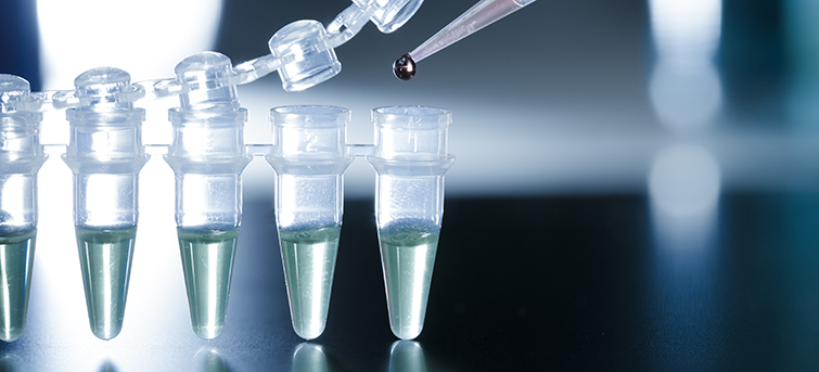 BioSciences Program Receives Baker Administration Funding to Develop Regional Workforce