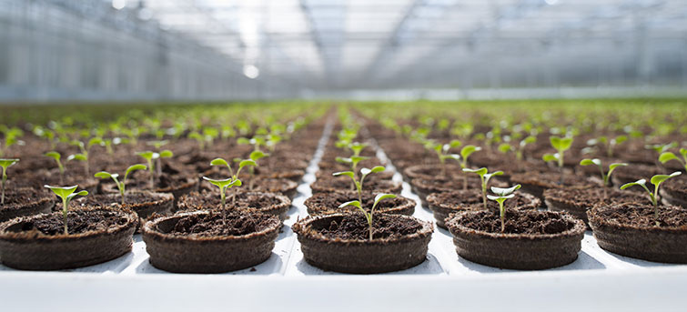 Food Business is Booming, Says Gastronomy Alum