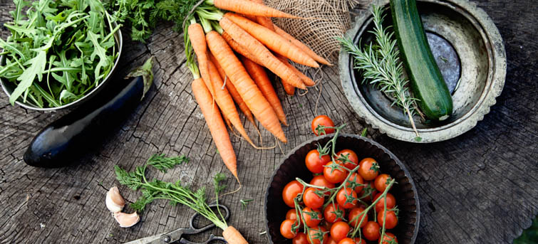 Food & Wine Teacher Brings Farmyard Flavor to Martha’s Vineyard Eatery