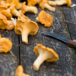 The Pleasures of Wild and Foraged Foods