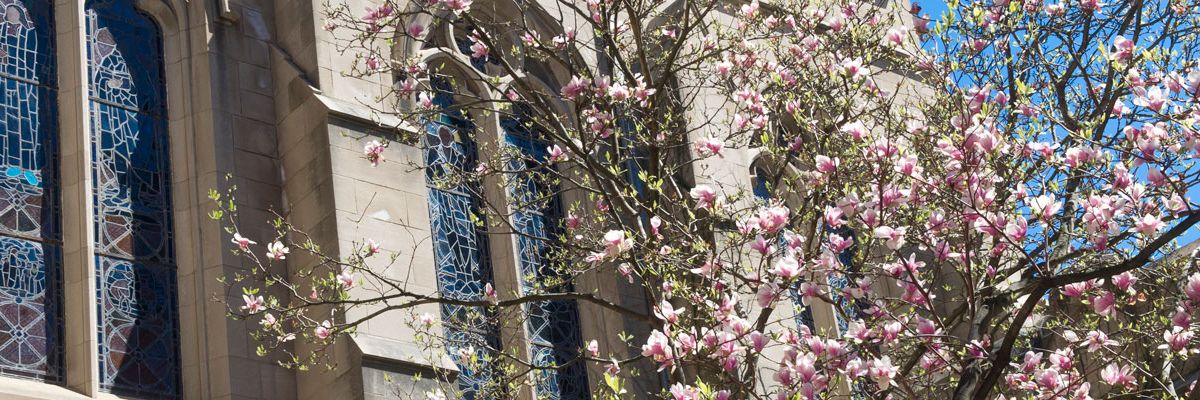 Withdrawal/Leave of Absence