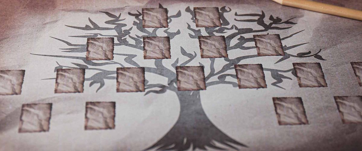 Papers with family tree templates, pencil, photos and glasses on wooden table