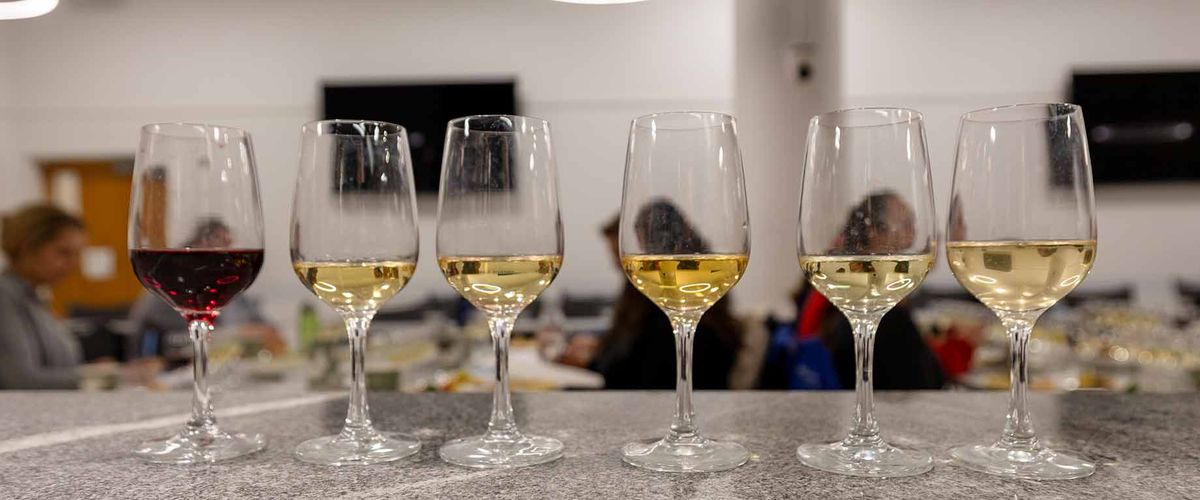 Students studying selected wines during a wine course at Boston University's Food Studies.
