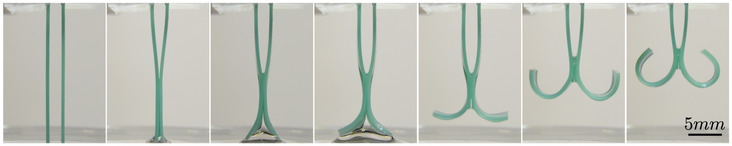 beam_banner