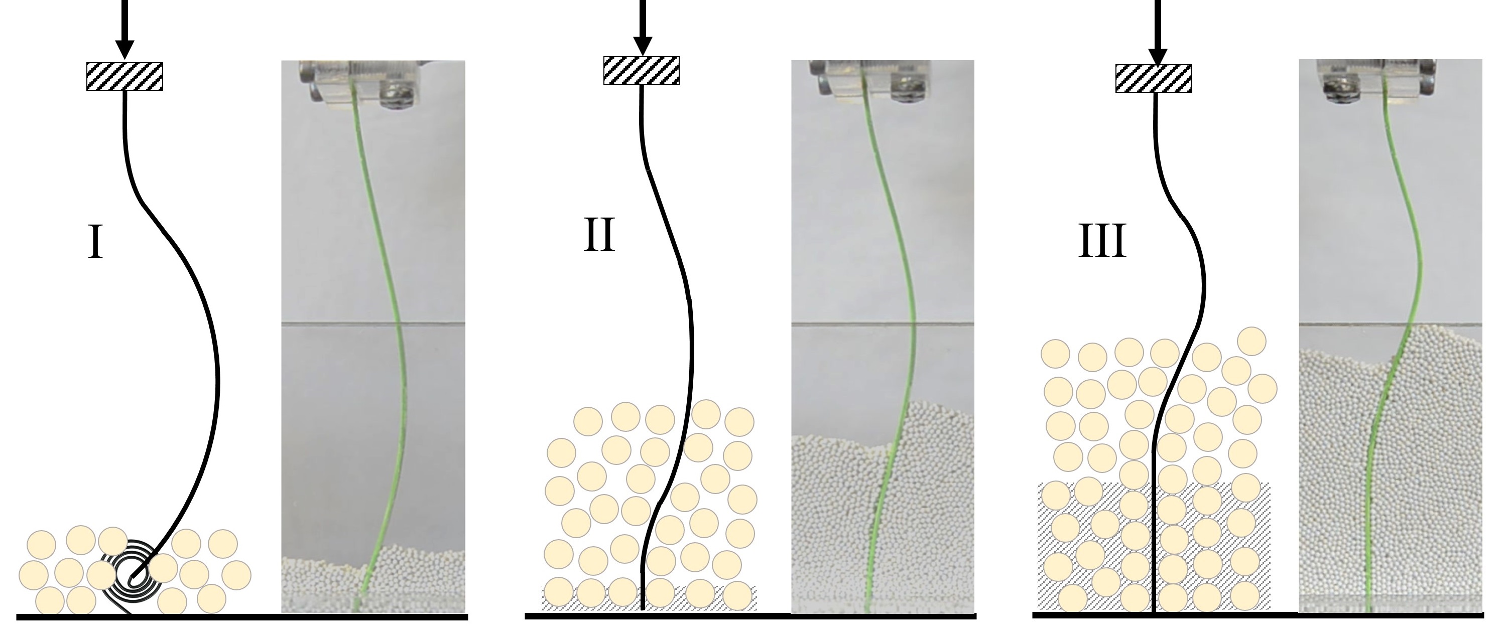 fig4_scheme