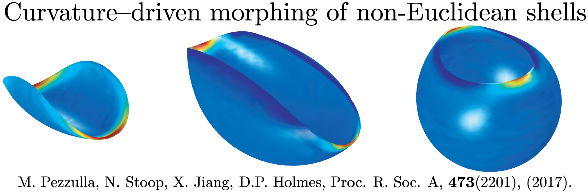 Curvature Morphing