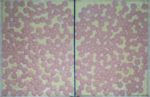 Beam in Polydisperse Grains