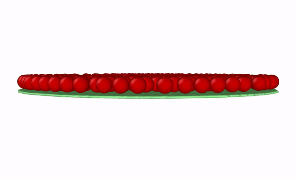 Elastogranular Sheet
