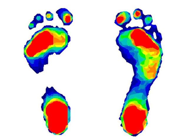 are-your-footprints-ape-like_68200_990x742