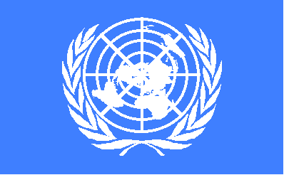 un Prof. Adil Najam speaks at the United Nations