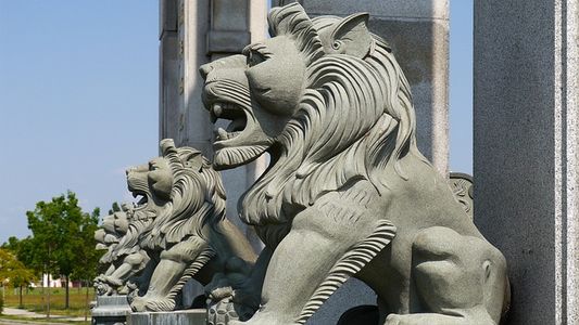 china lions