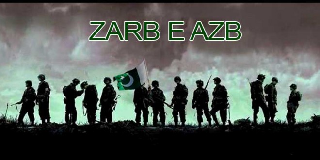 war against terrorism in pakistan essay