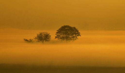 Najam, Adil Najam, Pardee School, Boston University, Newsline Magazine, BU, Climate Change