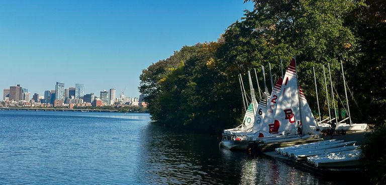 BU Sail
