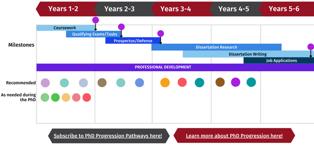 Timeline showing 5 two-year PhD phases and milestones, as well as colored circles representing specific PhD Progression pathways.