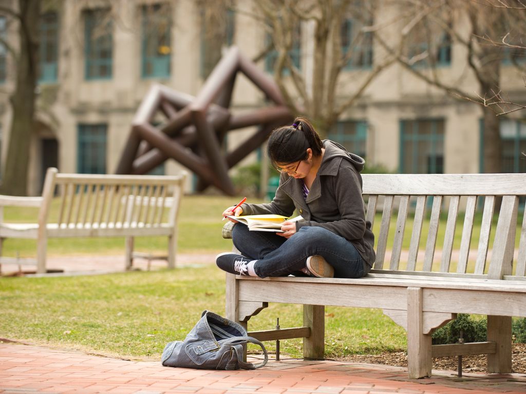 Student studying on bench outside