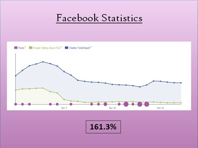 ellen's fb analytics