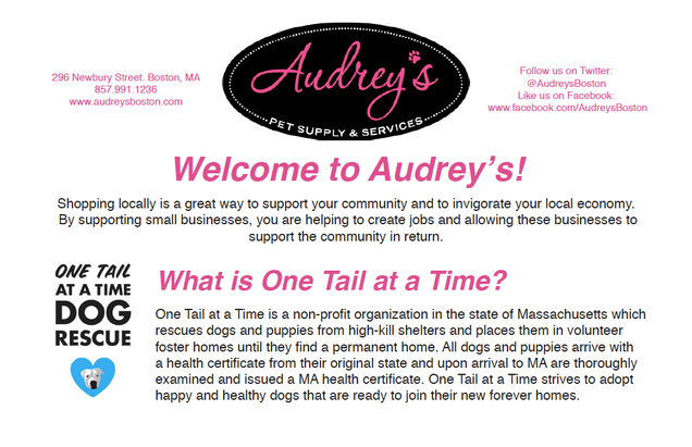Audrey's Info Card front