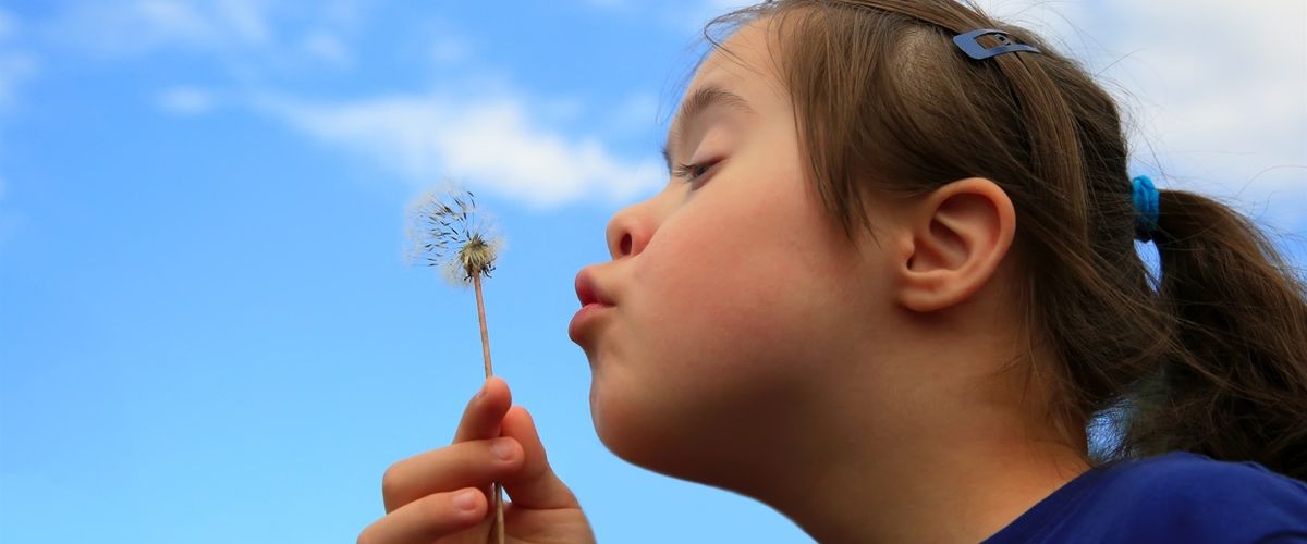 Child blowing a dandelion