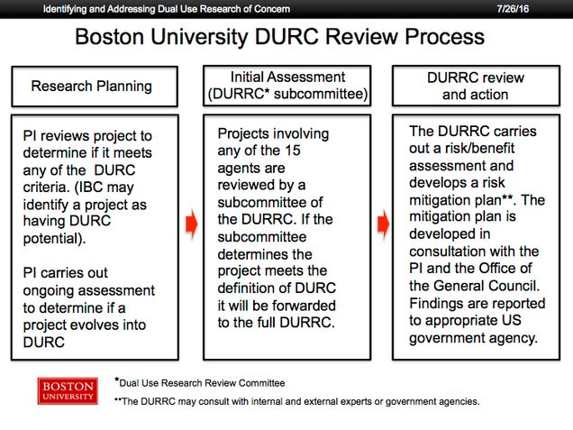 DURC Review Process