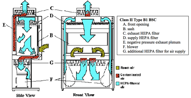 Class II Type B1 BSC