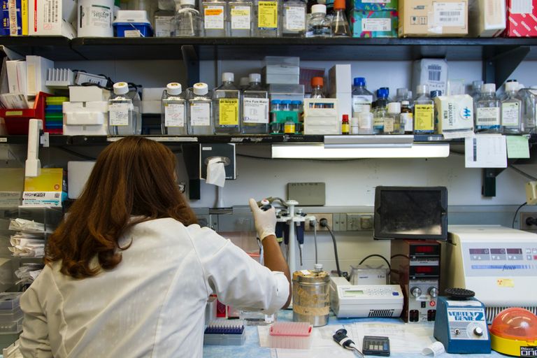 Researcher doing benchwork