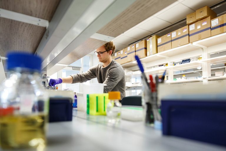 Lab supplies are in the foreground of the photo as a person stands at a lab bench in background