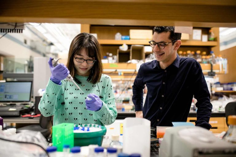 Two people stand at a lab bench in conversation. One person wears gloves and holds a pipette.