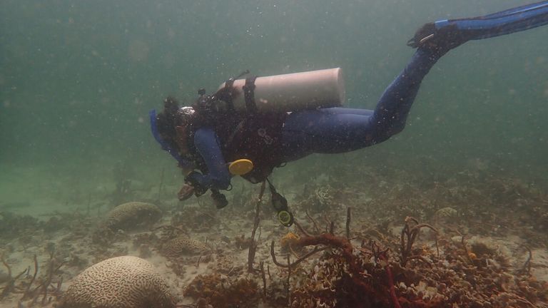 Scuba diver in the ocean with oxygen tank
