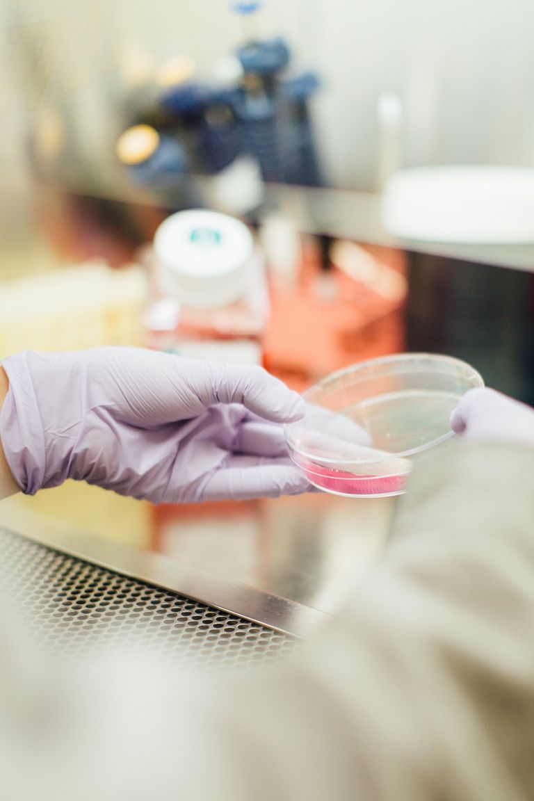 Laboratory testing; hands holding a science tray